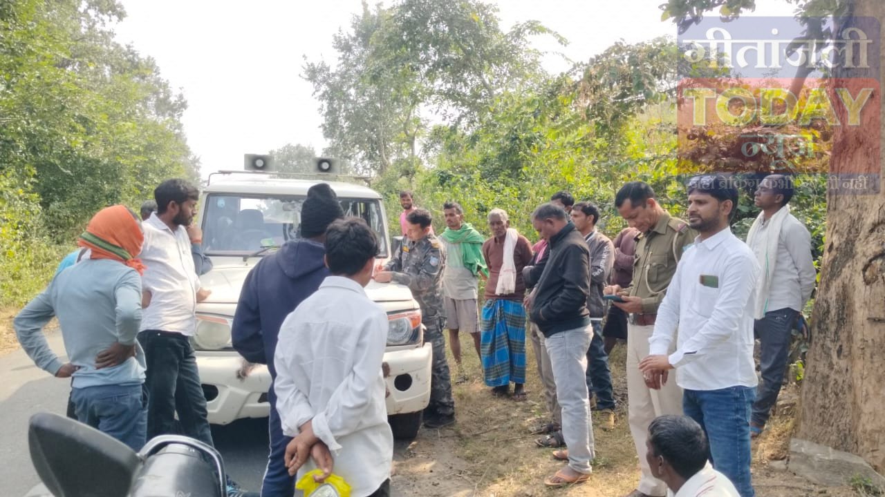 जंगल में मिला आदिम जनजाति की महिला का नर कंकाल: इलाके में दहशत, पुलिस ने शव किया बरामद