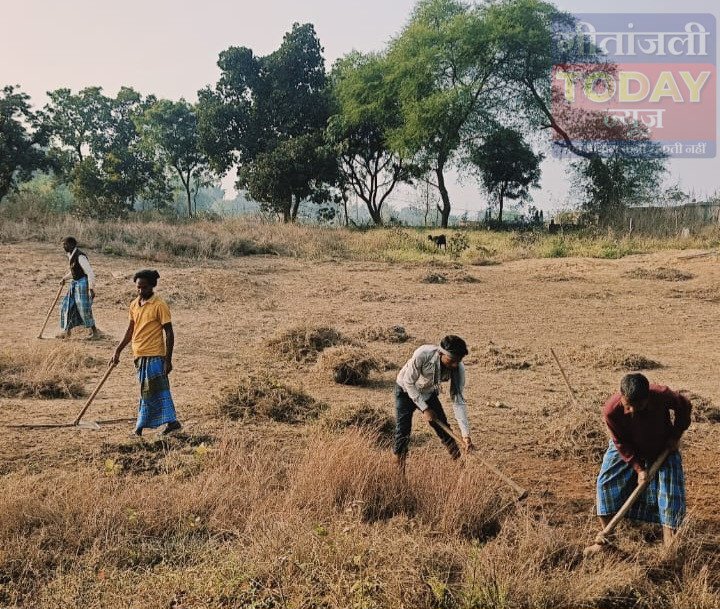 बैलिया गांव के कब्रिस्तान में सदर सादिक अंसारी के नेतृत्व में चला सफाई अभियान