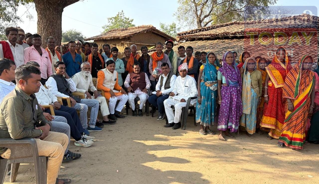भीमखांड में वन पट्टा नहीं मिलना गंभीर समस्या, भाजपा नेताओं ने सांसद से पहल का दिया भरोसा