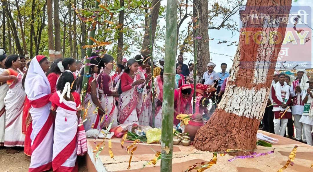 बरकोल में सरहुल महोत्सव धूमधाम से संपन्न, गिरिजानंद उरांव ने प्रकृति संरक्षण व अच्छी बारिश की कामना की