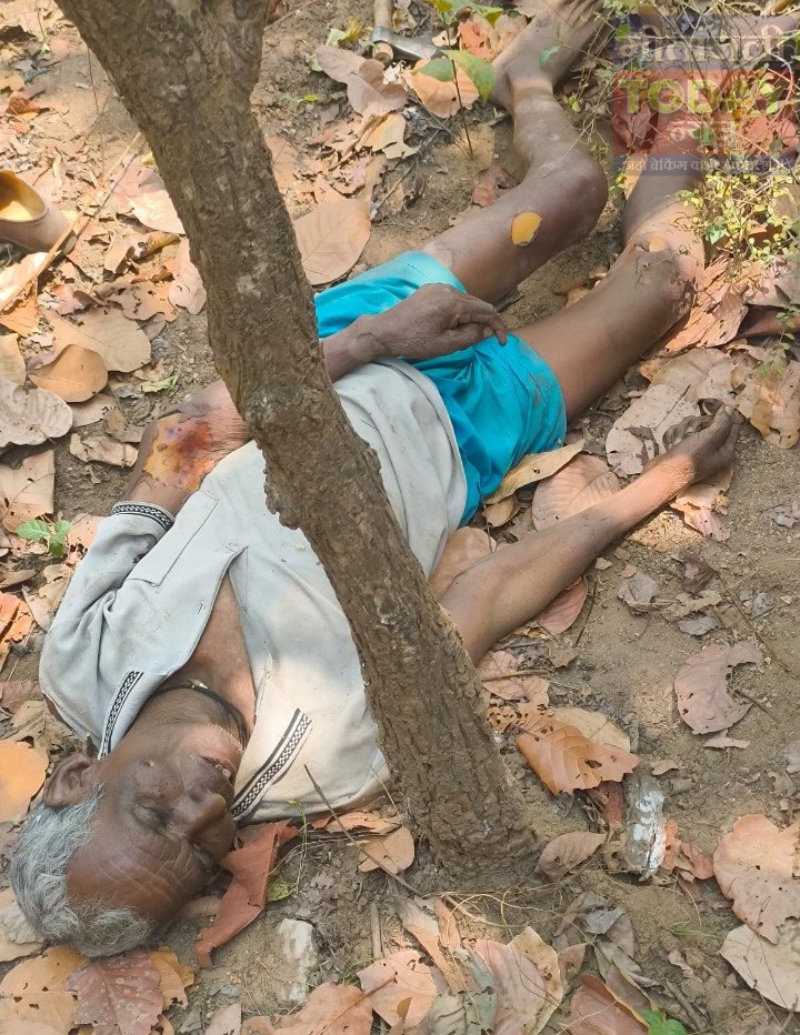 जंगली हाथियों के हमले में वृद्ध की दर्दनाक मौत, धुरकी क्षेत्र में दहशत का माहौल