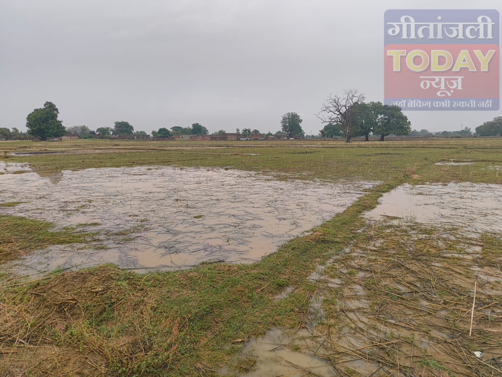 मानसून की पहली तेज बारिश से खेतों में भरा पानी, किसानों के चेहरे खिले