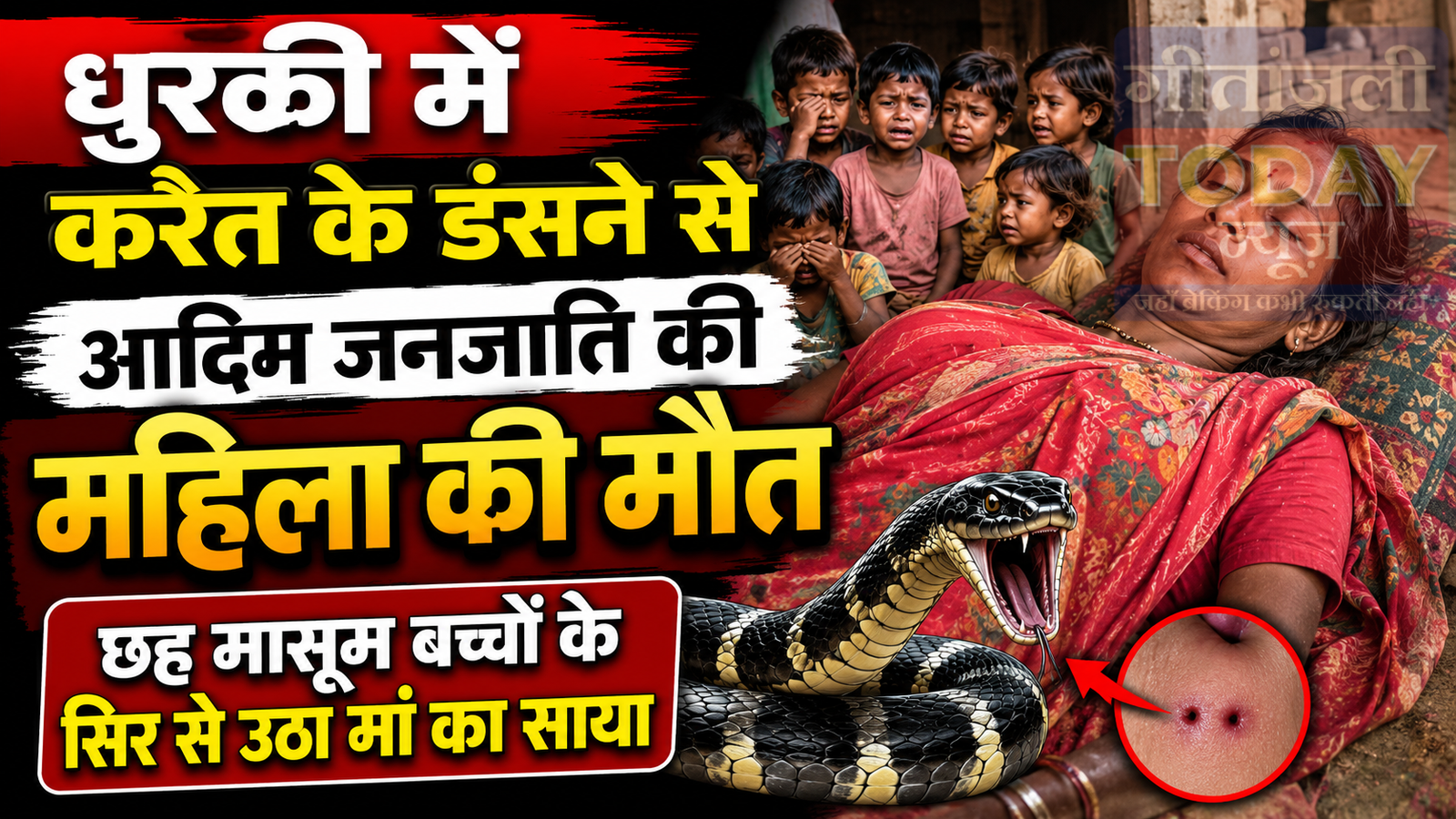 धुरकी में करैत के डंसने से आदिम जनजाति की महिला की मौत, छह मासूम बच्चों के सिर से उठा मां का साया