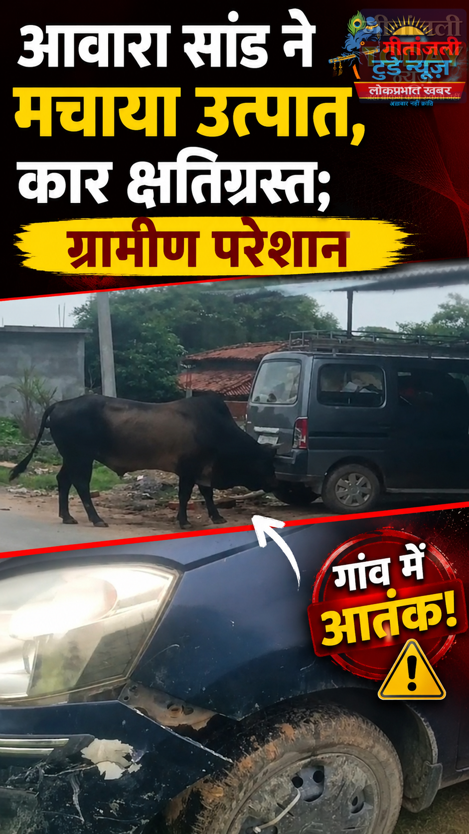 आवारा सांड ने मचाया तांडव, कार क्षतिग्रस्त; ग्रामीणों में दहशत